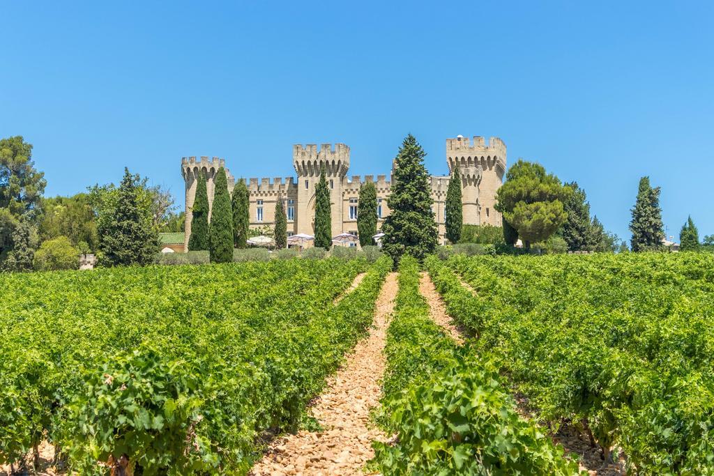 Hostellerie Du Chateau Des Fines Roches Шатонеф-дю-Пап Екстер'єр фото