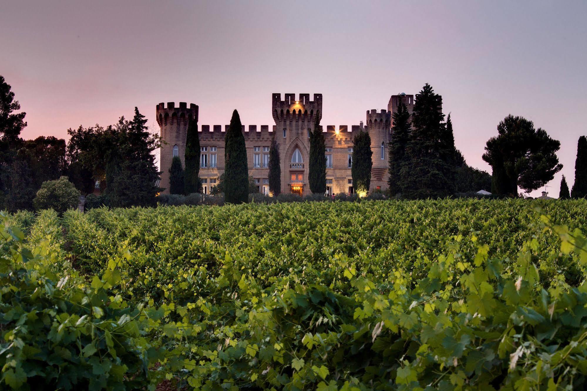 Hostellerie Du Chateau Des Fines Roches Шатонеф-дю-Пап Екстер'єр фото